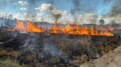 Imagem da notícia Fogo consome vegetação e destrói terrenos na região central de Costa Rica; Polícia investiga caso